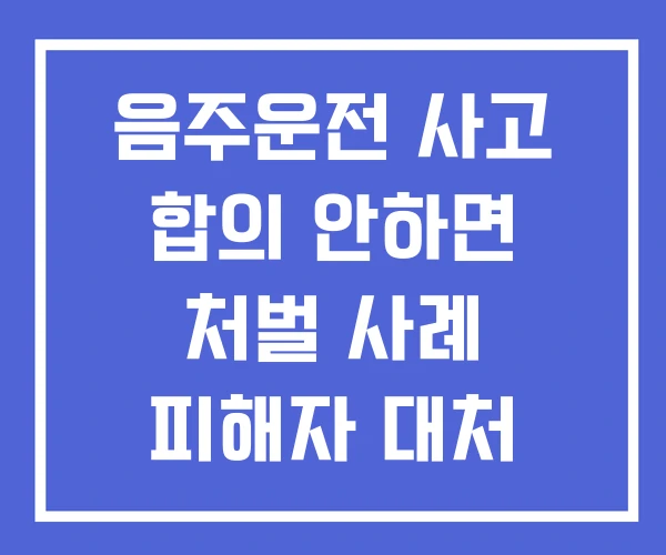 음주운전 사고 합의 안하면 처벌 사례 피해자 대처 방법 음주운전 사고 합의 안하면 처벌 사례 피해자 대처 방법