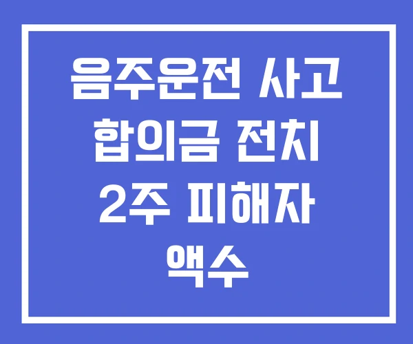음주운전 사고 합의금 전치 2주 피해자 액수