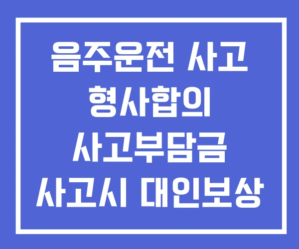 음주운전 사고 형사합의 사고부담금 사고시 대인보상