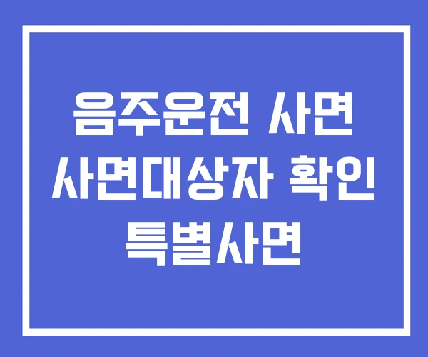 음주운전 사면 사면대상자 확인 특별사면 음주운전 사면 사면대상자 확인 특별사면