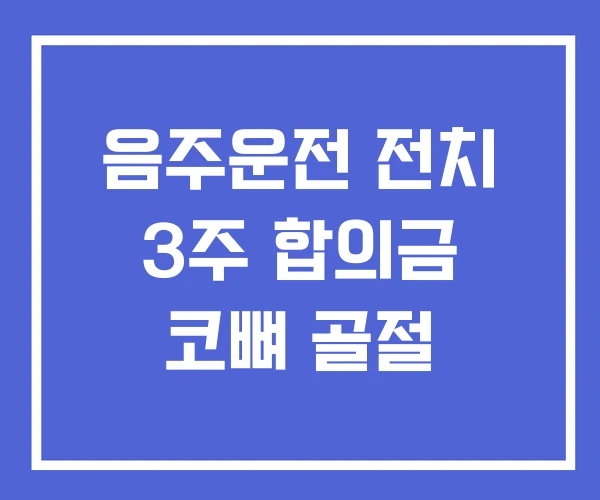 음주운전 전치 3주 합의금 코뼈 골절