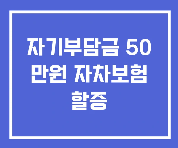 자기부담금 50 만원 자차보험 할증