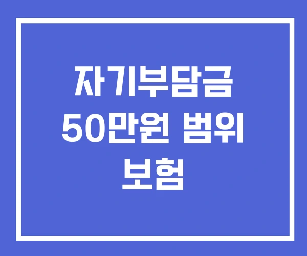 자기부담금 50만원 범위 보험 자기부담금 50만원 범위 보험