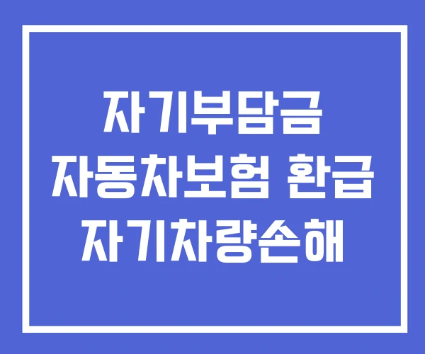 자기부담금 자동차보험 환급 자기차량손해