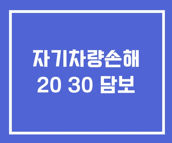 자기차량손해 20 30 담보