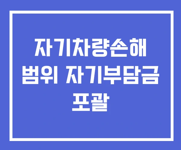 자기차량손해 범위 자기부담금 포괄