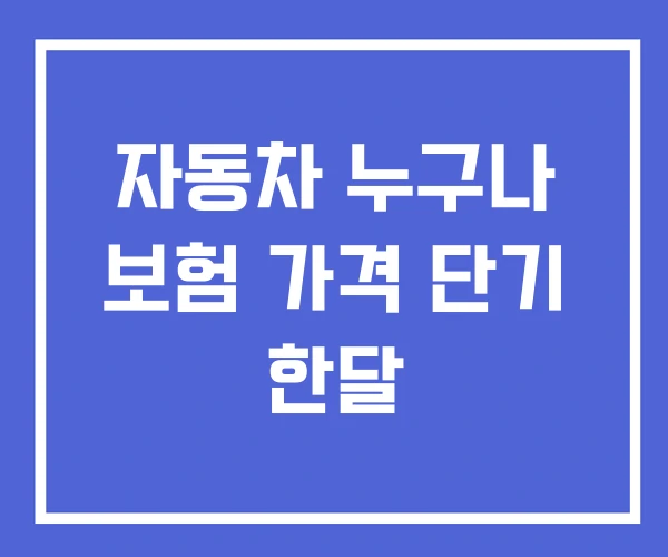 자동차 누구나 보험 가격 단기 한달 자동차 누구나 보험 가격 단기 한달