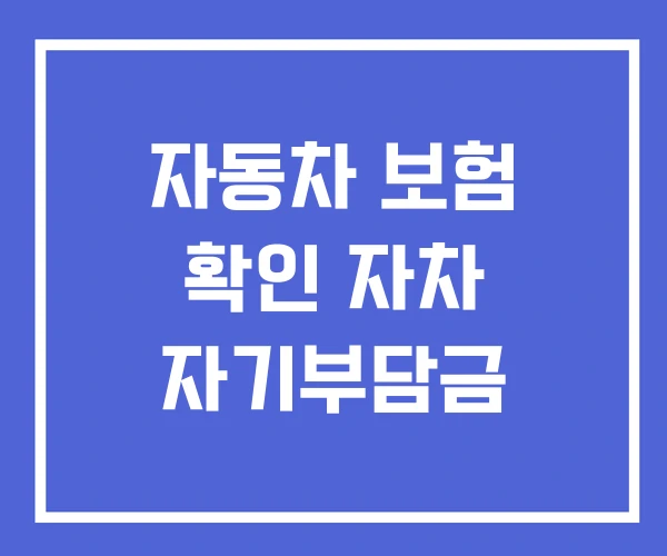자동차 보험 확인 자차 자기부담금 자동차 보험 확인 자차 자기부담금