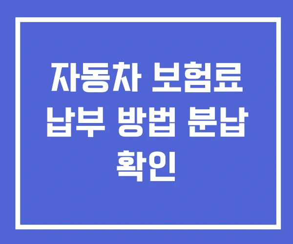 자동차 보험료 납부 방법 분납 확인 자동차 보험료 납부 방법 분납 확인