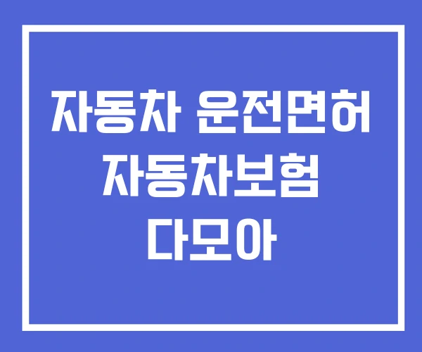 자동차 운전면허 자동차보험 다모아