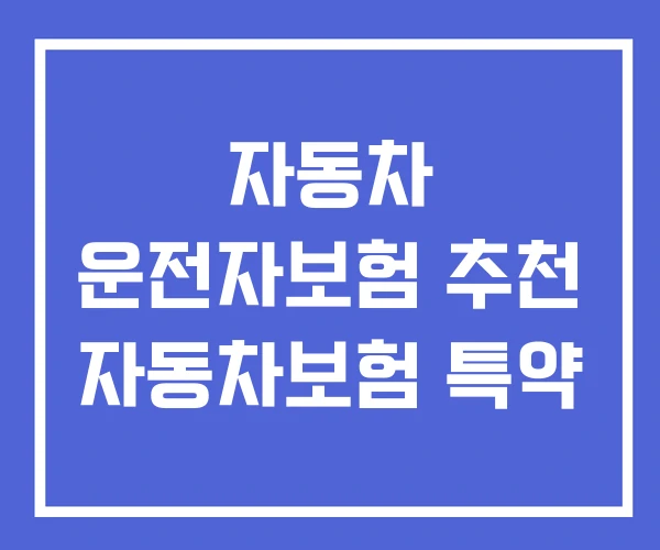 자동차 운전자보험 추천 자동차보험 특약