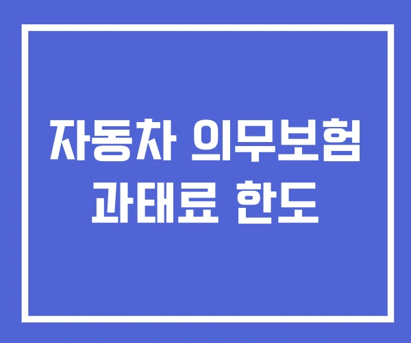 자동차 의무보험 과태료 한도 자동차 의무보험 과태료 한도