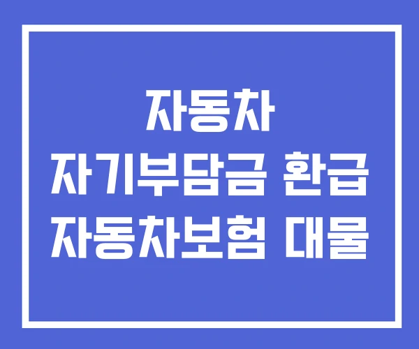 자동차 자기부담금 환급 자동차보험 대물