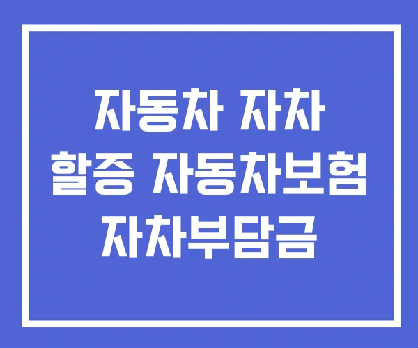 자동차 자차 할증 자동차보험 자차부담금