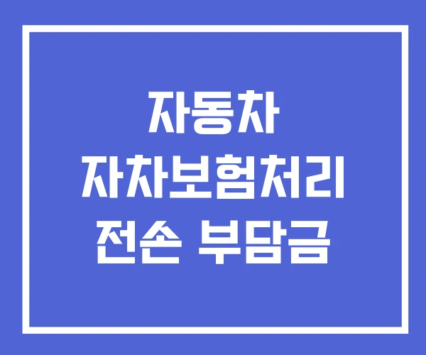 자동차 자차보험처리 전손 부담금