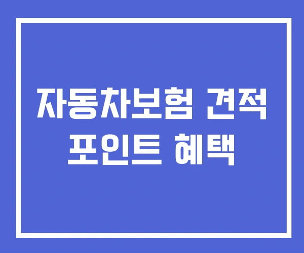 자동차보험 견적 포인트 혜택