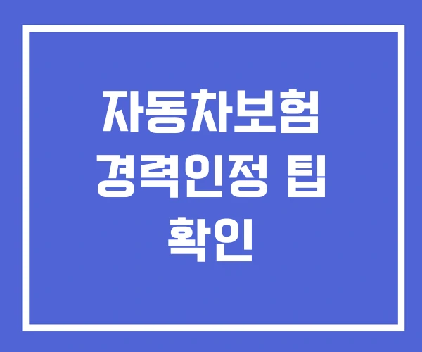 자동차보험 경력인정 팁 확인