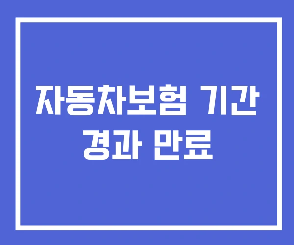 자동차보험 기간 경과 만료 자동차보험 기간 경과 만료