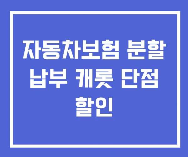 자동차보험 분할 납부 캐롯 단점 할인