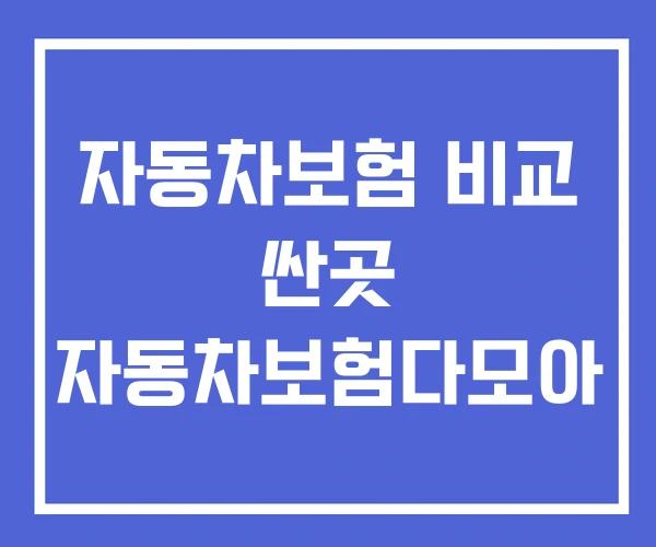 자동차보험 비교 싼곳 자동차보험다모아