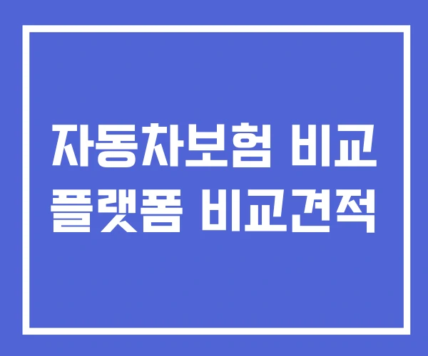 자동차보험 비교 플랫폼 비교견적