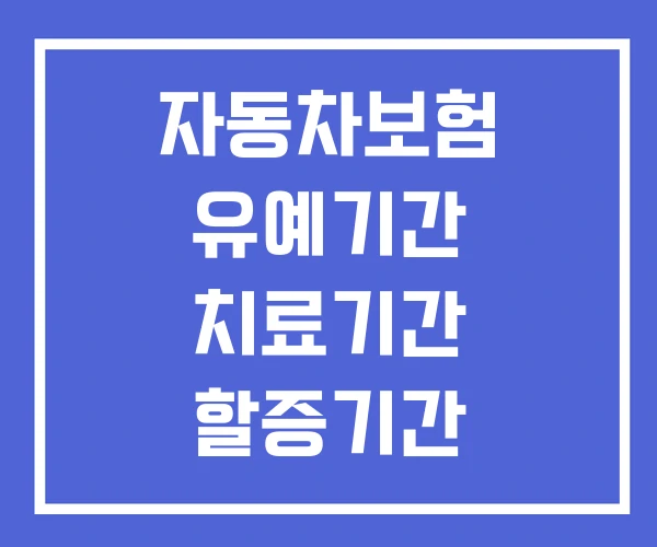 자동차보험 유예기간 치료기간 할증기간 자동차보험 유예기간 치료기간 할증기간