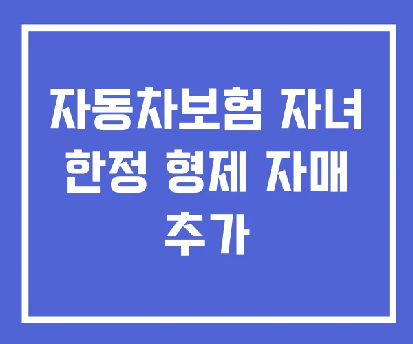 자동차보험 자녀 한정 형제 자매 추가