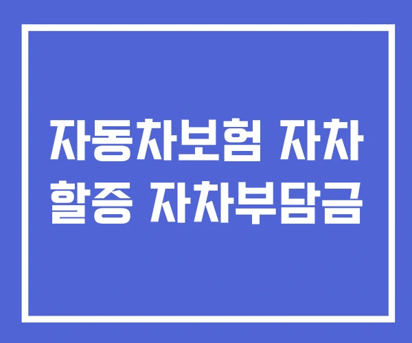 자동차보험 자차 할증 자차부담금 자동차보험 자차 할증 자차부담금