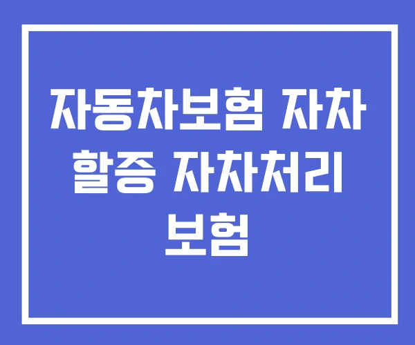 자동차보험 자차 할증 자차처리 보험 자동차보험 자차 할증 자차처리 보험