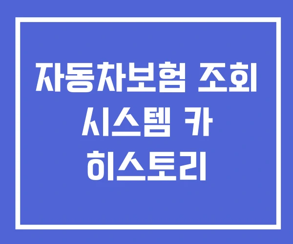 자동차보험 조회 시스템 카 히스토리