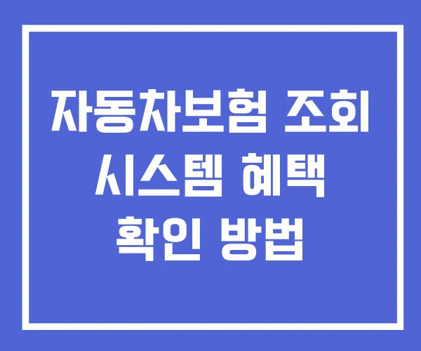 자동차보험 조회 시스템 혜택 확인 방법 자동차보험 조회 시스템 혜택 확인 방법