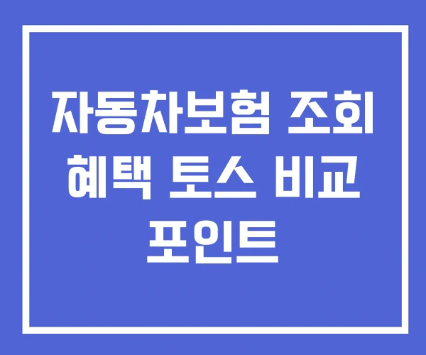 자동차보험 조회 혜택 토스 비교 포인트 자동차보험 조회 혜택 토스 비교 포인트