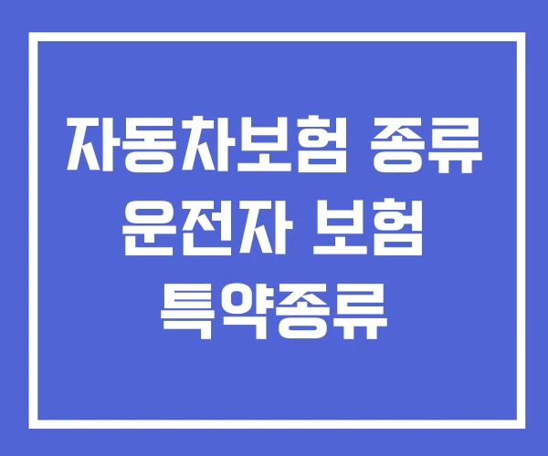 자동차보험 종류 운전자 보험 특약종류 자동차보험 종류 운전자 보험 특약종류
