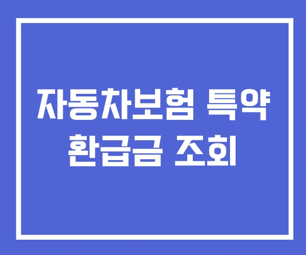 자동차보험 특약 환급금 조회 자동차보험 특약 환급금 조회