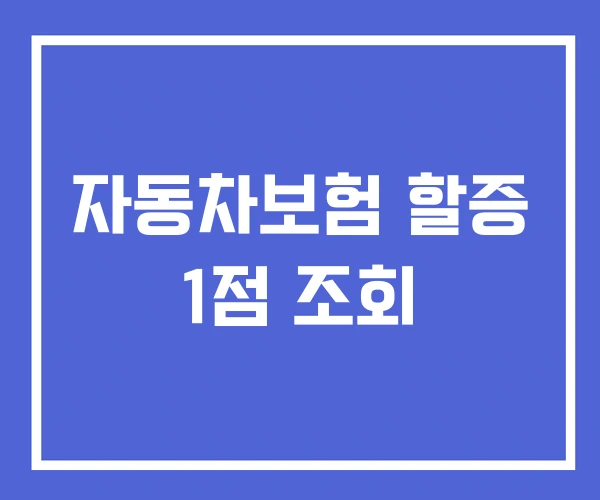 자동차보험 할증 1점 조회 자동차보험 할증 1점 조회
