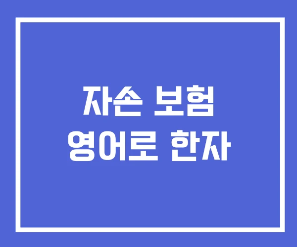 자손 보험 영어로 한자 자손 보험 영어로 한자