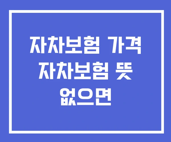 자차보험 가격 자차보험 뜻 없으면 자차보험 가격 자차보험 뜻 없으면