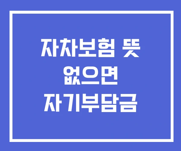 자차보험 뜻 없으면 자기부담금