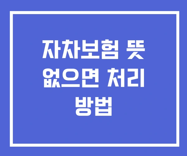 자차보험 뜻 없으면 처리 방법