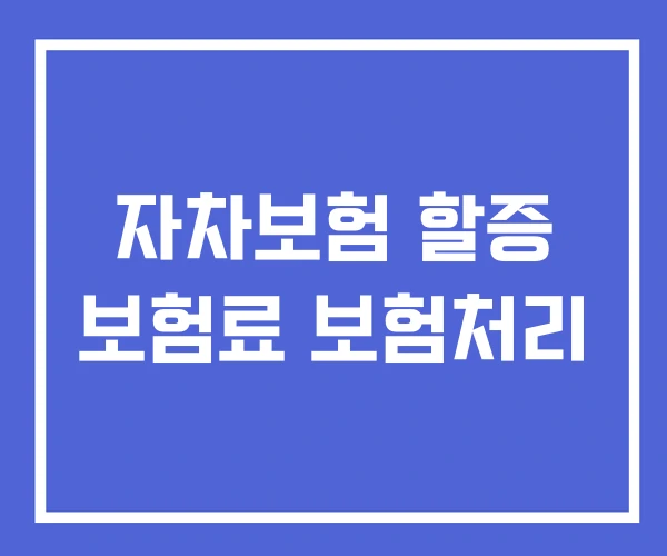 자차보험 할증 보험료 보험처리