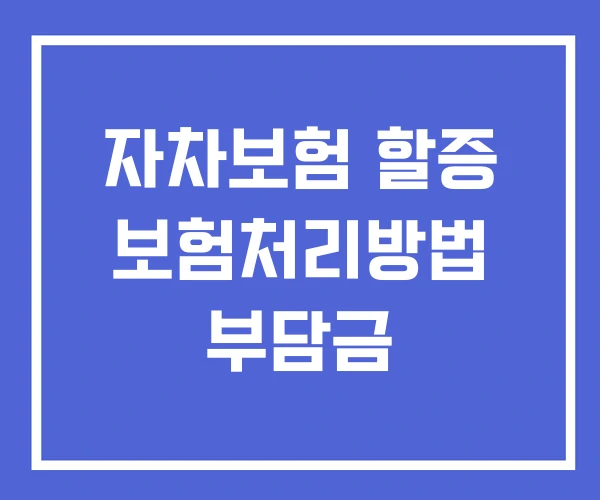 자차보험 할증 보험처리방법 부담금
