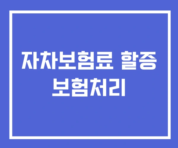 자차보험료 할증 보험처리