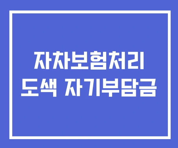 자차보험처리 도색 자기부담금