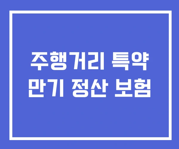 주행거리 특약 만기 정산 보험