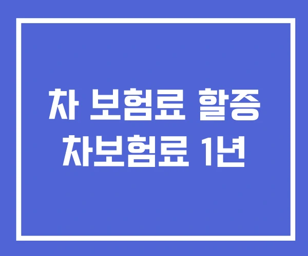 차 보험료 할증 차보험료 1년 차 보험료 할증 차보험료 1년