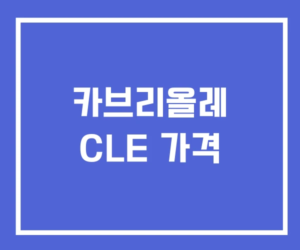 카브리올레 CLE 가격 카브리올레 CLE 가격