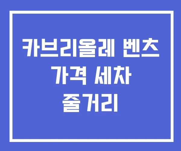 카브리올레 벤츠 가격 세차 줄거리 카브리올레 벤츠 가격 세차 줄거리