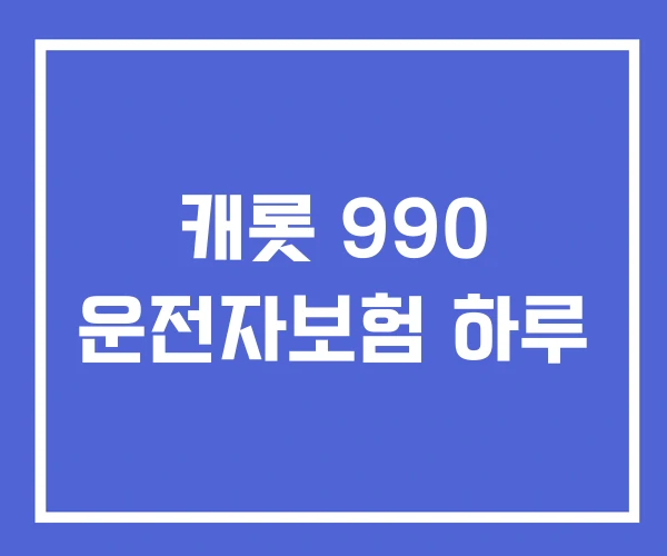 캐롯 990 운전자보험 하루