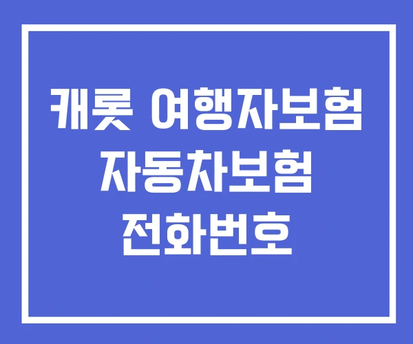 캐롯 여행자보험 자동차보험 전화번호