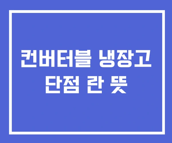 컨버터블 냉장고 단점 란 뜻